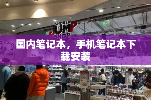国内笔记本，手机笔记本下载安装-第1张图片-星选测评