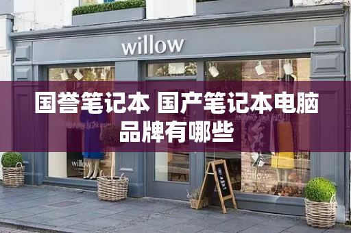 国誉笔记本 国产笔记本电脑品牌有哪些-第1张图片-星选测评