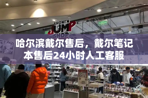 哈尔滨戴尔售后，戴尔笔记本售后24小时人工客服