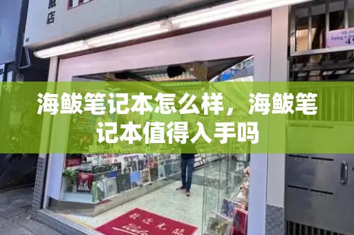 海鲅笔记本怎么样，海鲅笔记本值得入手吗