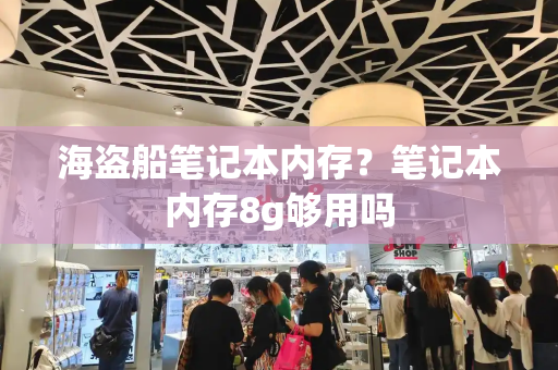 海盗船笔记本内存？笔记本内存8g够用吗
