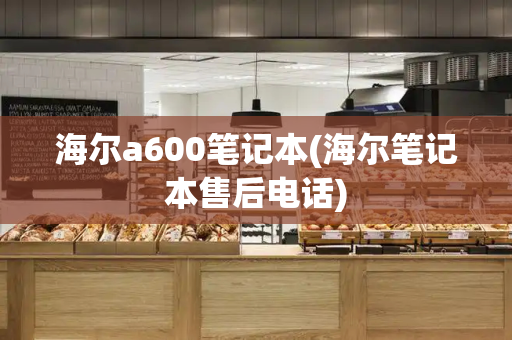 海尔a600笔记本(海尔笔记本售后电话)-第1张图片-星选测评
