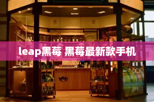 leap黑莓 黑莓最新款手机-第1张图片-星选测评