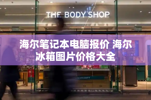 海尔笔记本电脑报价 海尔冰箱图片价格大全