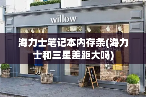 海力士笔记本内存条(海力士和三星差距大吗)