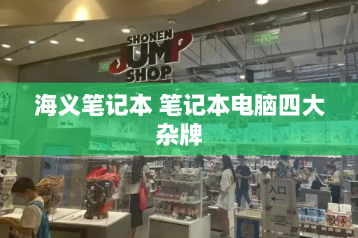 海义笔记本 笔记本电脑四大杂牌