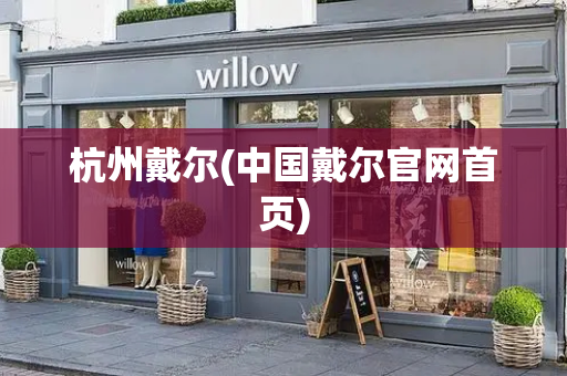 杭州戴尔(中国戴尔官网首页)-第1张图片-星选测评