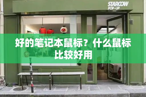 好的笔记本鼠标？什么鼠标比较好用