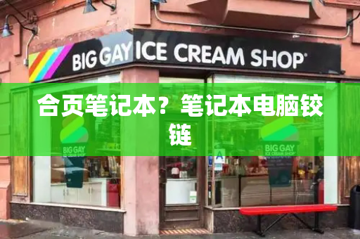 合页笔记本？笔记本电脑铰链