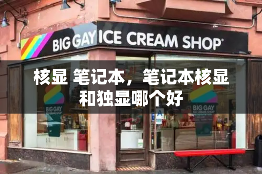核显 笔记本，笔记本核显和独显哪个好