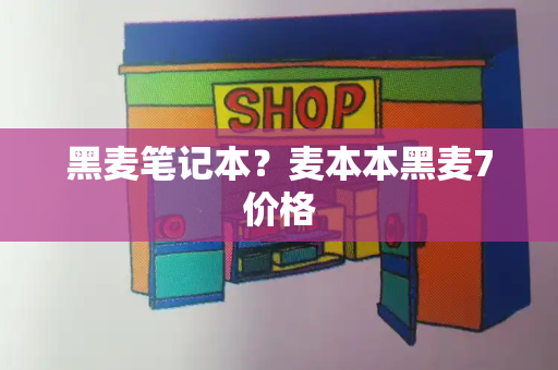 黑麦笔记本？麦本本黑麦7价格