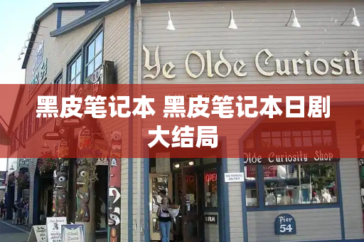 黑皮笔记本 黑皮笔记本日剧大结局