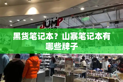 黑货笔记本？山寨笔记本有哪些牌子