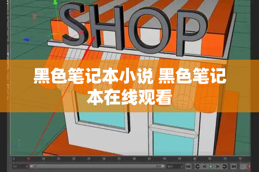 黑色笔记本小说 黑色笔记本在线观看