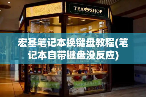 宏基笔记本换键盘教程(笔记本自带键盘没反应)-第1张图片-星选测评