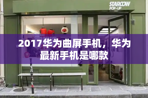 2017华为曲屏手机，华为最新手机是哪款-第1张图片-星选测评