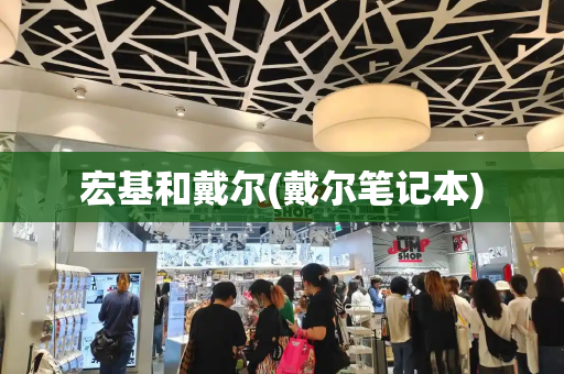 宏基和戴尔(戴尔笔记本)-第1张图片-星选测评