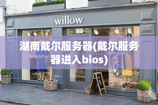 湖南戴尔服务器(戴尔服务器进入bios)