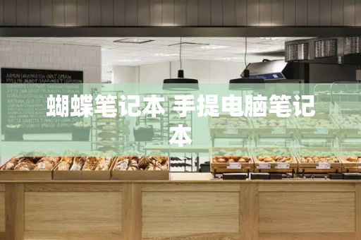 蝴蝶笔记本 手提电脑笔记本