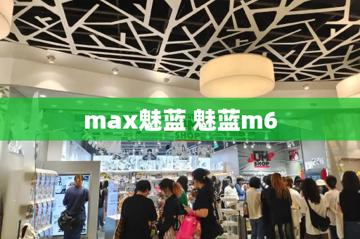max魅蓝 魅蓝m6