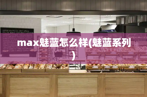 max魅蓝怎么样(魅蓝系列)