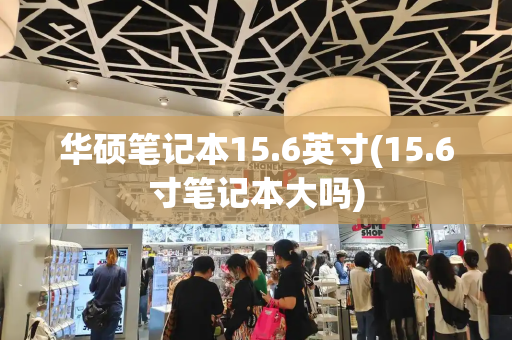 华硕笔记本15.6英寸(15.6寸笔记本大吗)