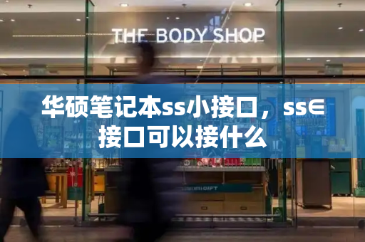 华硕笔记本ss小接口，ss∈接口可以接什么