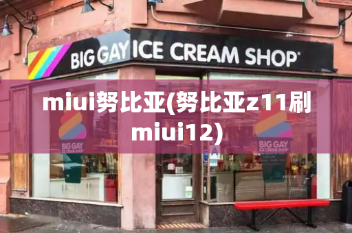 miui努比亚(努比亚z11刷miui12)-第1张图片-星选测评