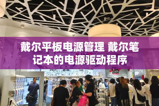 戴尔平板电源管理 戴尔笔记本的电源驱动程序