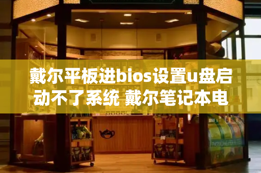 戴尔平板进bios设置u盘启动不了系统 戴尔笔记本电脑u盘启动bios设置