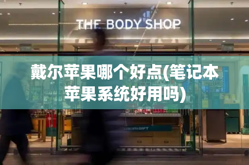 戴尔苹果哪个好点(笔记本苹果系统好用吗)-第1张图片-星选测评