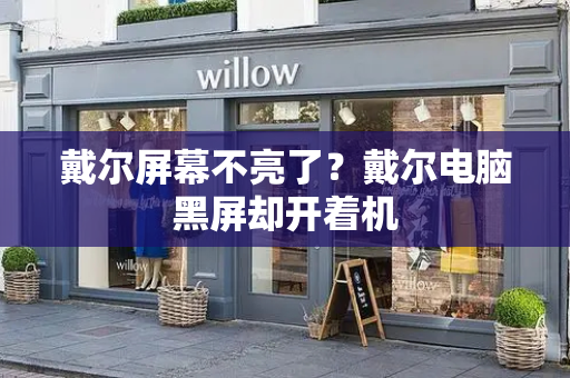 戴尔屏幕不亮了？戴尔电脑黑屏却开着机