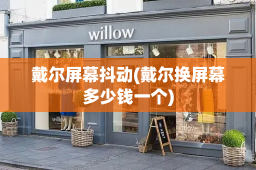 戴尔屏幕抖动(戴尔换屏幕多少钱一个)