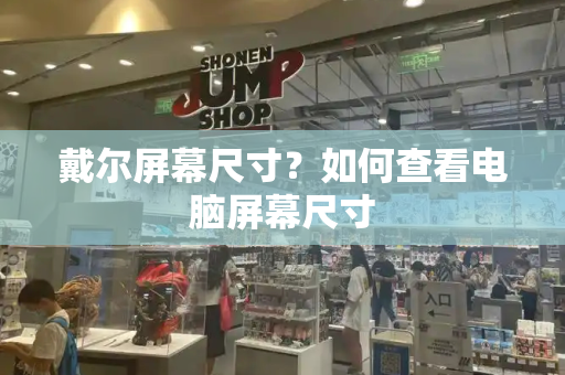 戴尔屏幕尺寸？如何查看电脑屏幕尺寸-第1张图片-星选测评