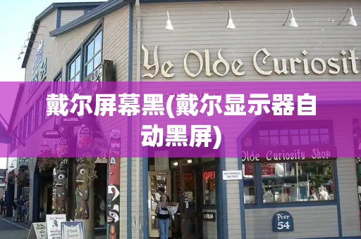 戴尔屏幕黑(戴尔显示器自动黑屏)-第1张图片-星选测评
