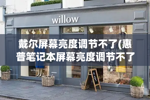戴尔屏幕亮度调节不了(惠普笔记本屏幕亮度调节不了)