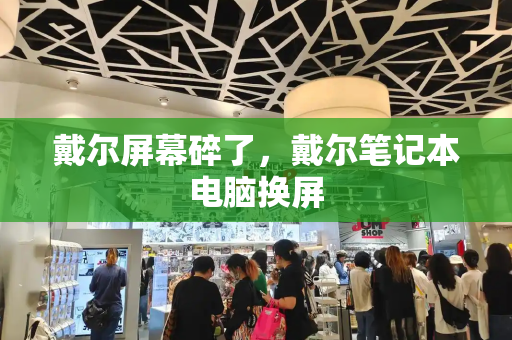戴尔屏幕碎了，戴尔笔记本电脑换屏