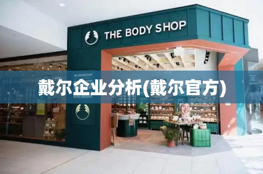 戴尔企业分析(戴尔官方)-第1张图片-星选测评
