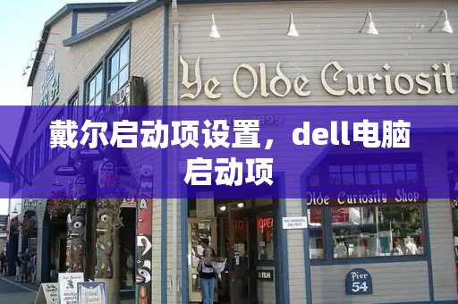 戴尔启动项设置，dell电脑启动项-第1张图片-星选测评