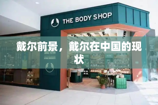 戴尔前景，戴尔在中国的现状-第1张图片-星选测评