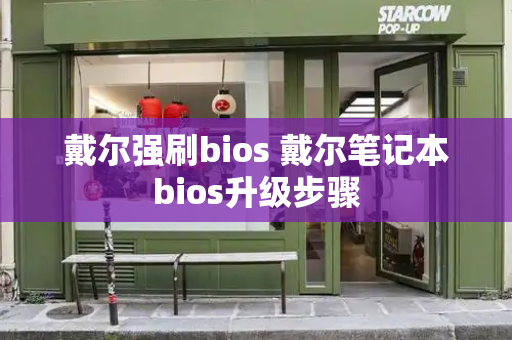 戴尔强刷bios 戴尔笔记本bios升级步骤-第1张图片-星选测评