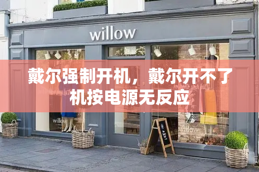 戴尔强制开机，戴尔开不了机按电源无反应-第1张图片-星选测评