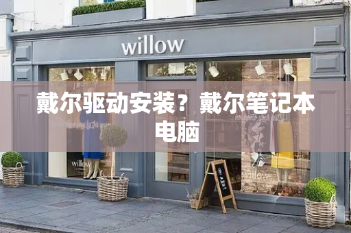 戴尔驱动安装？戴尔笔记本电脑-第1张图片-星选测评