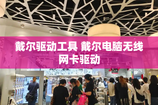 戴尔驱动工具 戴尔电脑无线网卡驱动