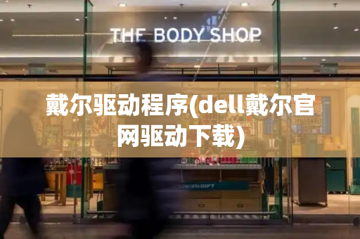 戴尔驱动程序(dell戴尔官网驱动下载)-第1张图片-星选测评