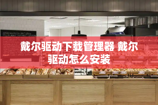 戴尔驱动下载管理器 戴尔驱动怎么安装