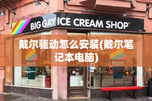戴尔驱动怎么安装(戴尔笔记本电脑)