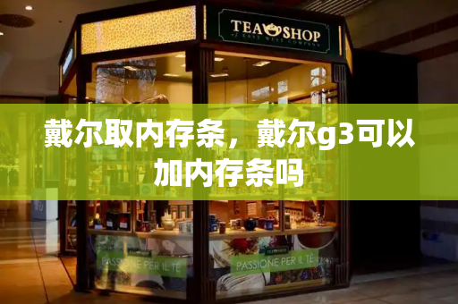 戴尔取内存条，戴尔g3可以加内存条吗-第1张图片-星选测评