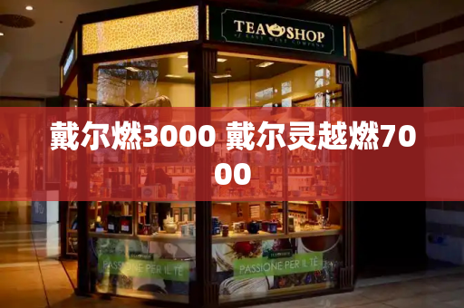 戴尔燃3000 戴尔灵越燃7000