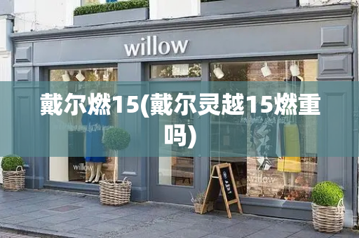 戴尔燃15(戴尔灵越15燃重吗)-第1张图片-星选测评